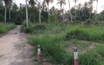 Land For Sale In Gampaha