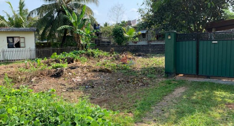 Land For Sale In Panadura