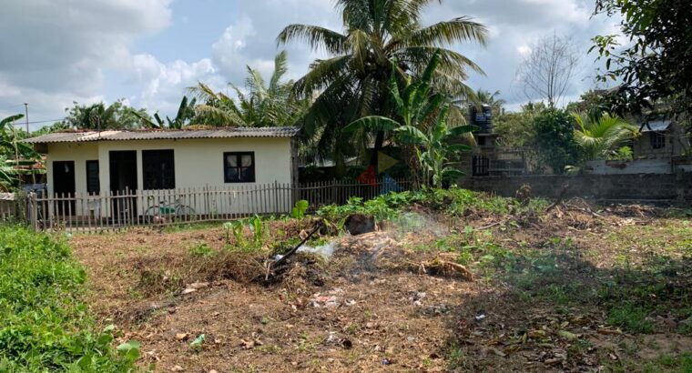 Land For Sale In Panadura