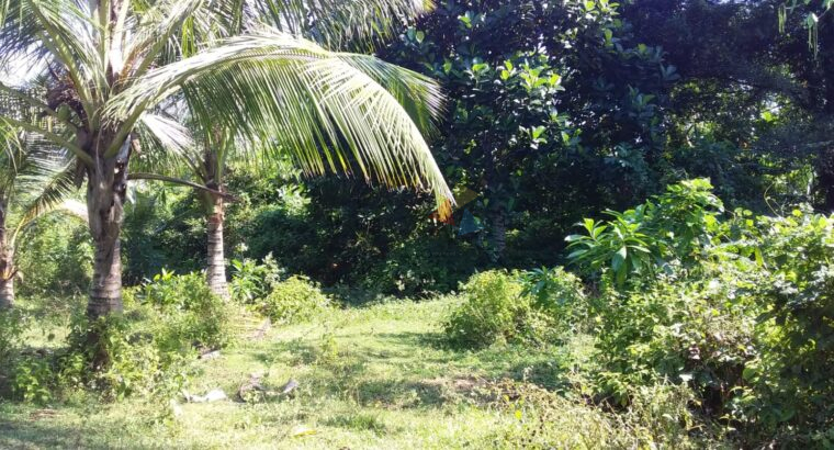 Land For Sale In Horana