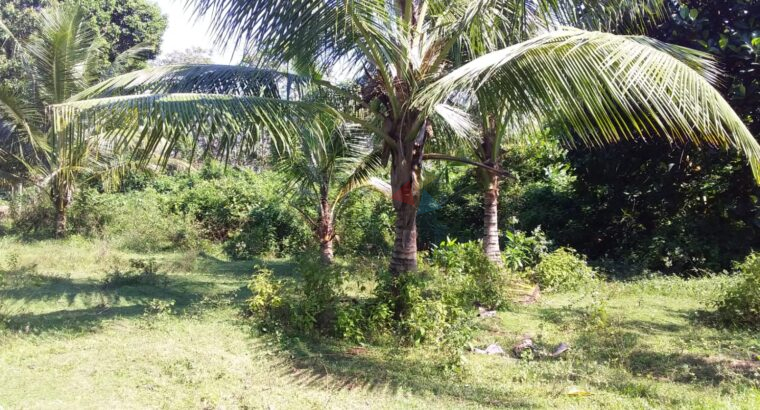 Land For Sale In Horana