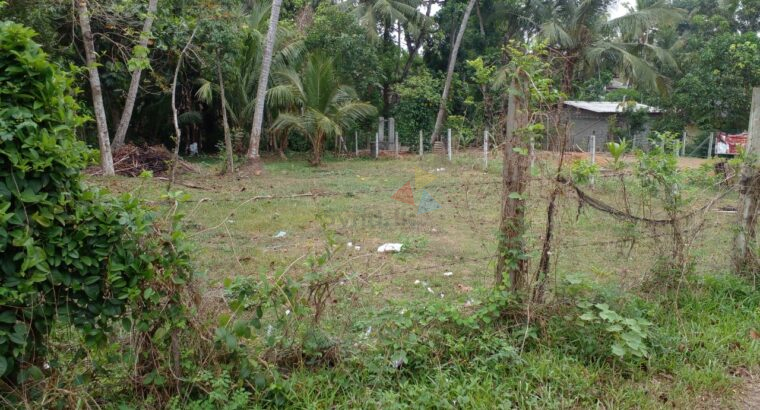 Land For Sale In Kandana