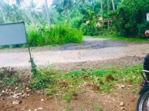 Land For Sale In Pannala