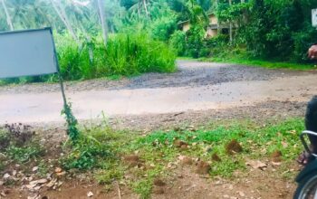 Land For Sale In Pannala