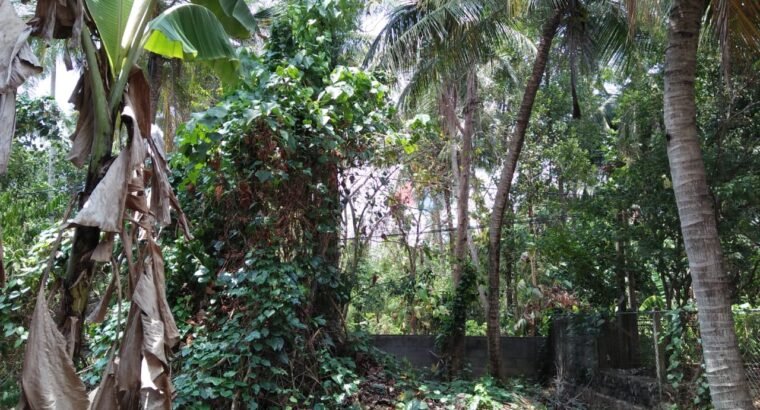 Land For Sale In Kurunegala