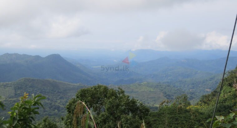 Land for sale in haputale
