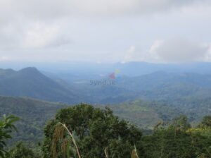 Land for sale in haputale