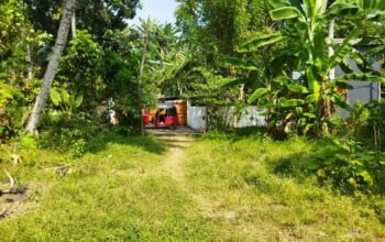 Land For Sale In Galle