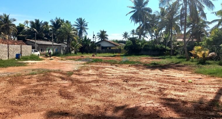 Land For Sale In Pamunugama Near Hamilton Canel