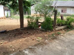 Land For Sale In Ragama