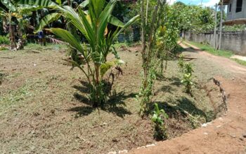 Land For Sale In Kirindiwela