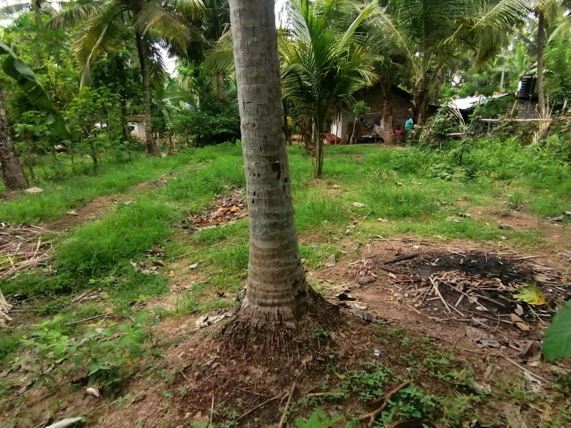 Land For Sale in Kuliyapitiya