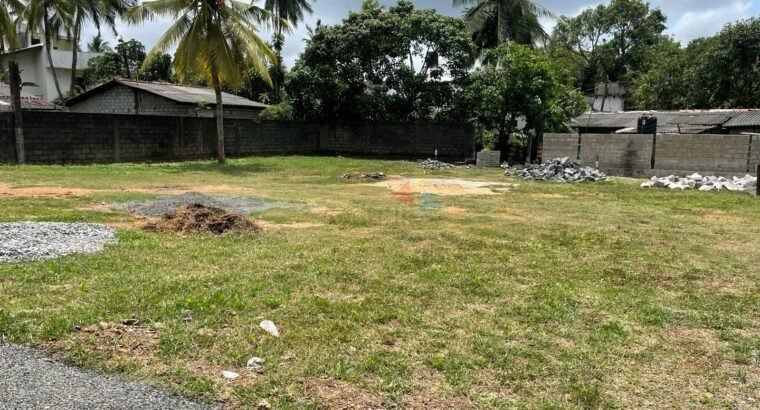 Land For Sale In Thalahena