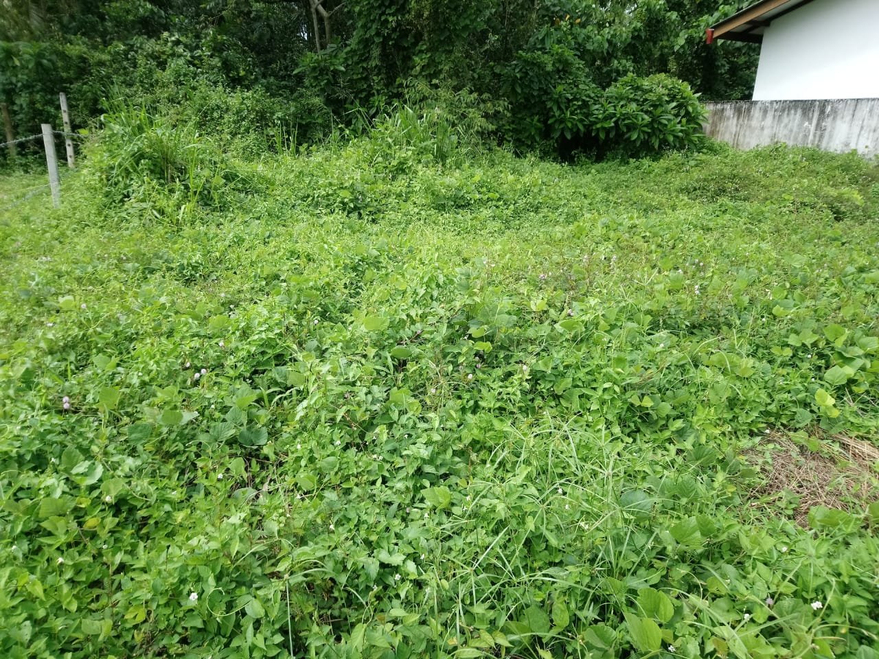 Land For Sale In Ranala