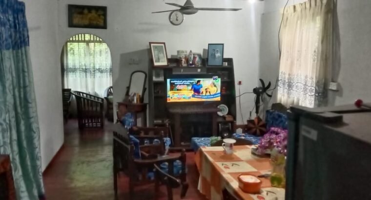 House For Sale in Pugoda