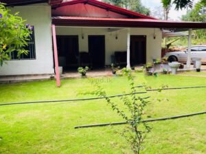 House For Sale in Kothmale