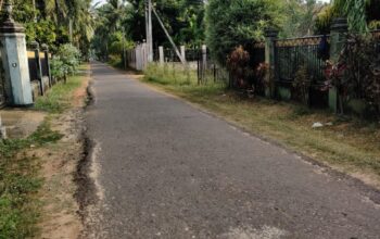 Land For Sale In Marawila