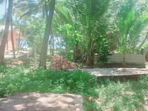 Land for Sale in Hikkaduwa