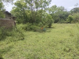 Land For Sale In Hambantota