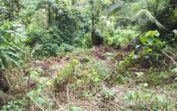 Land for Sale in Baddegama