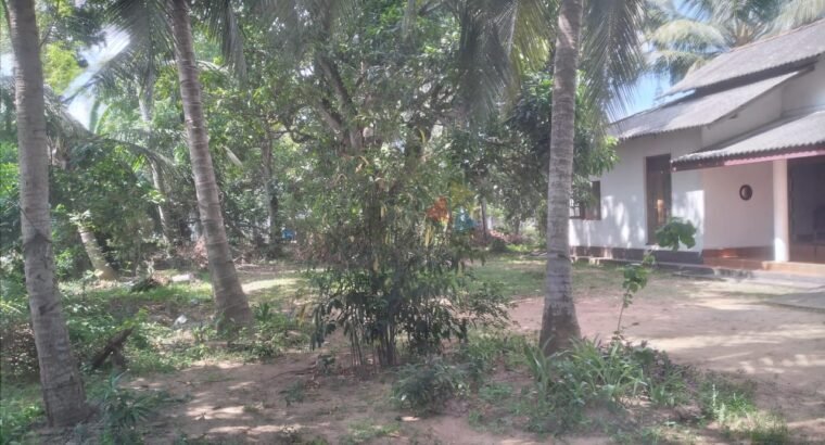 Land For Rent In Wattala