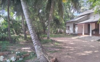 Land For Rent In Wattala