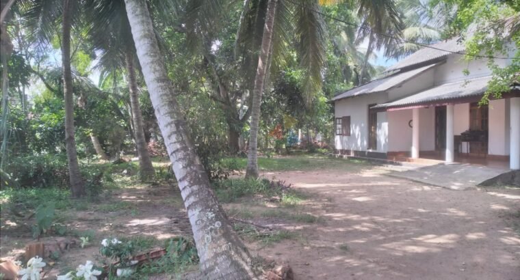 Land For Rent In Wattala