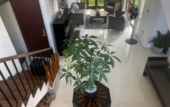 House For Sale In Ratmalana