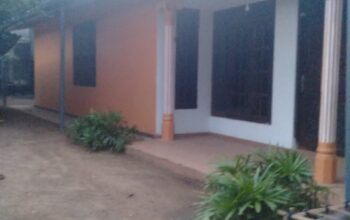 House For Rent In Pannipitiya