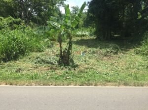 Land For Sale In Monaragala