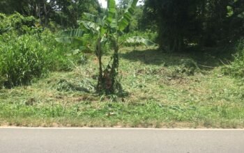 Land For Sale In Monaragala