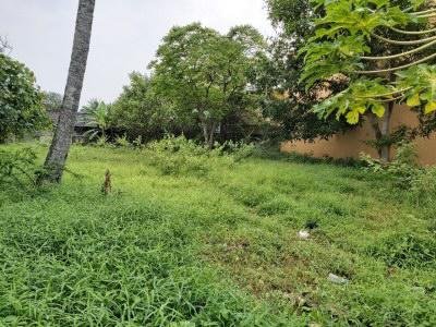 Land For Rent In Homagama