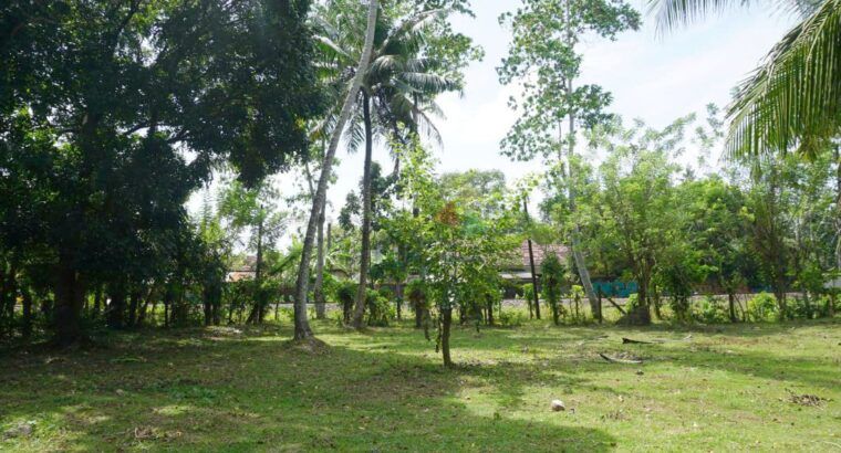 Land For Sale In Anamaduwa