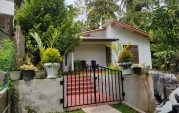 House For Rent In Kundasale