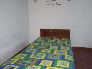 Room For Rent In Boralesgamuwa