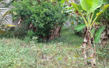 Land For Sale In Ratmalana