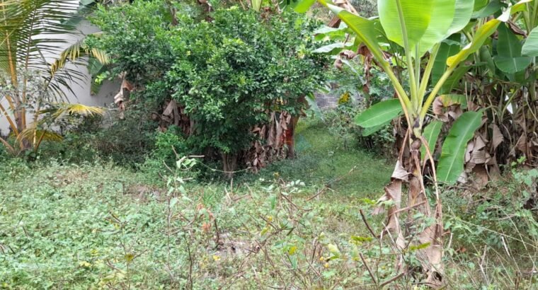 Land For Sale In Ratmalana