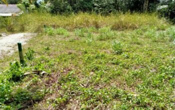 Land For Sale In Dadigamuwa