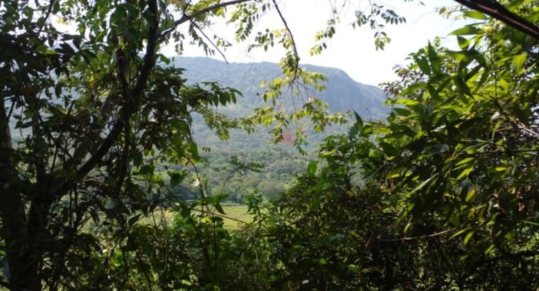 Land For Sale In Matale