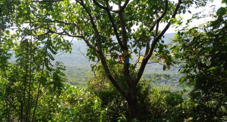 Land For Sale In Matale