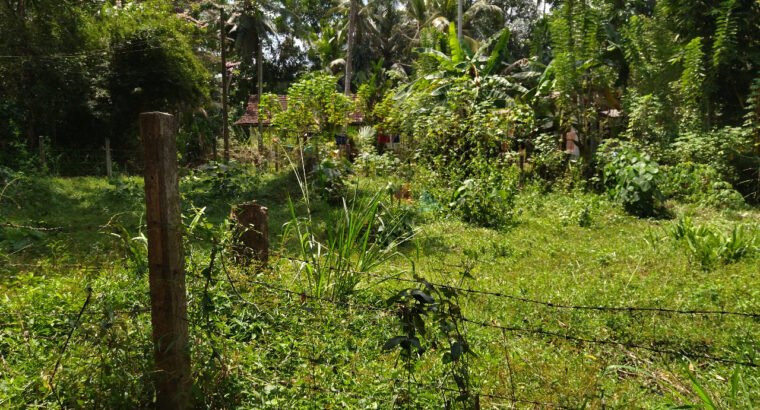 Land For Sale In Nittambuwa