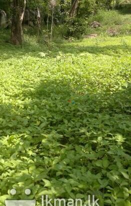 Land For Sale In Kurunegala