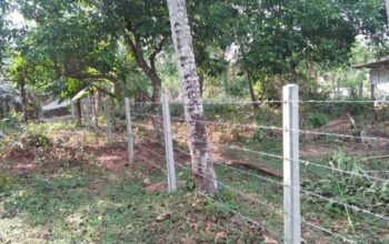 Land For Sale In Yakkala