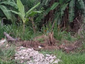 Land For Sale In Piliyandala