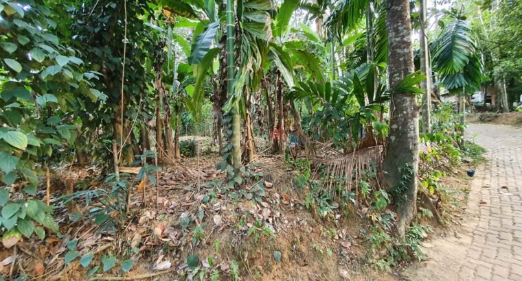 Land For Sale In Pilimathalawa