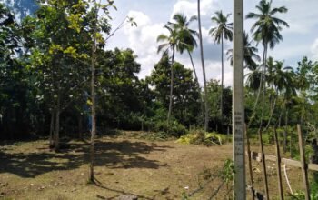 Land For Sale In Hambantota