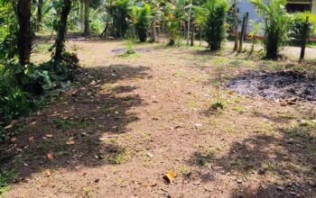 Land For Sale In Dharga Town