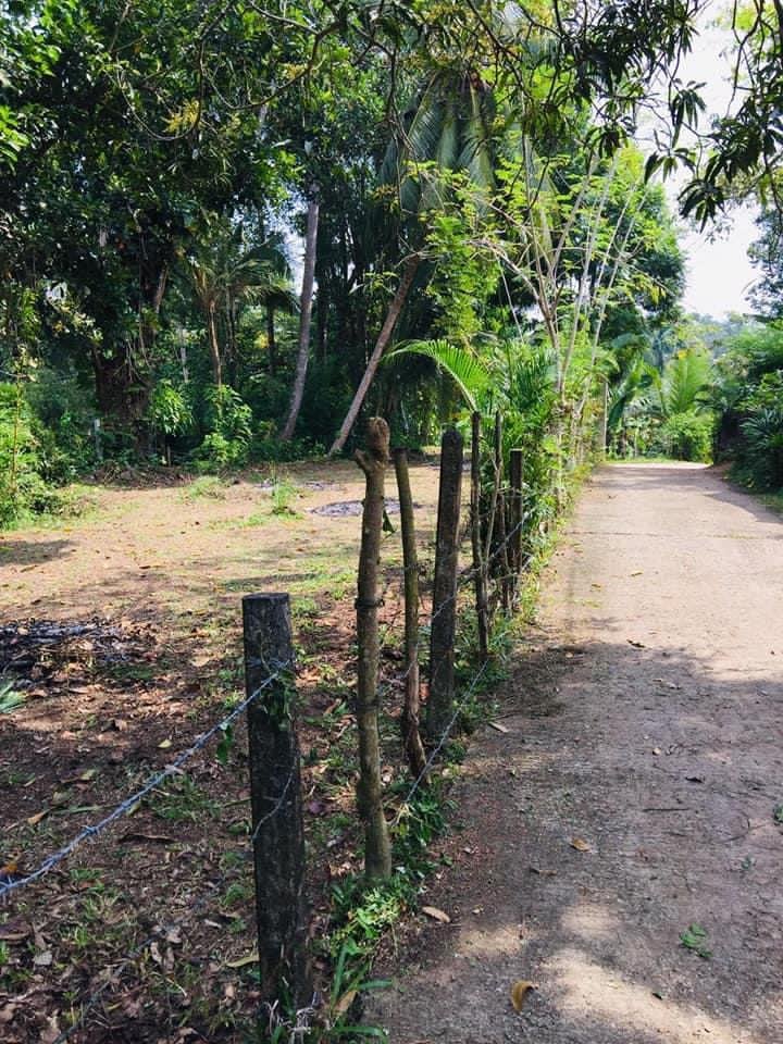 Land For Sale In Dharga Town