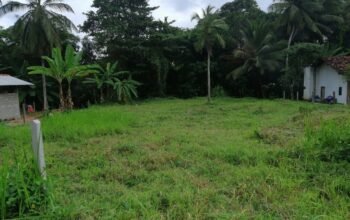 Land For Sale In Giriulla