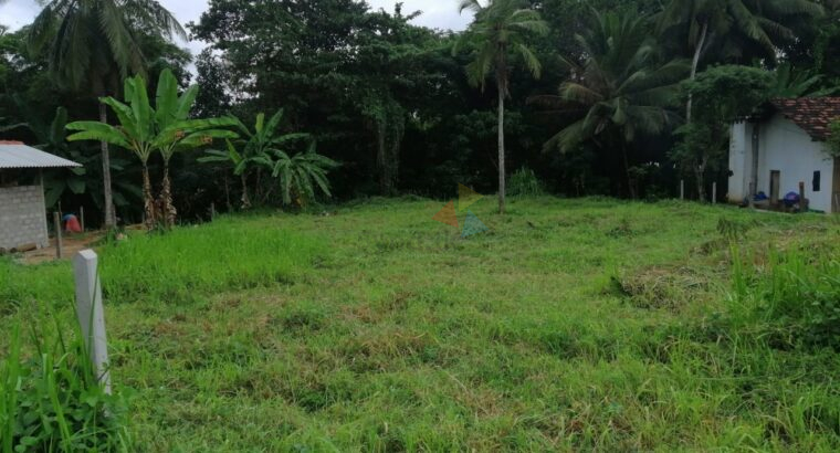 Land For Sale In Giriulla